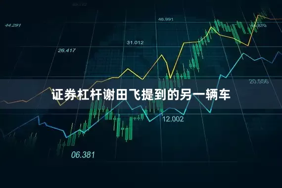 证券杠杆谢田飞提到的另一辆车