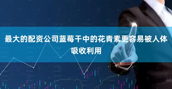 最大的配资公司蓝莓干中的花青素更容易被人体吸收利用