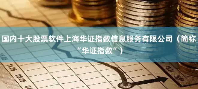 国内十大股票软件上海华证指数信息服务有限公司（简称“华证指数”）