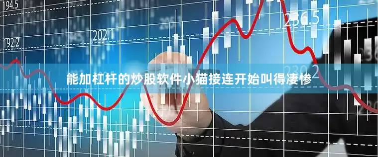 能加杠杆的炒股软件小猫接连开始叫得凄惨