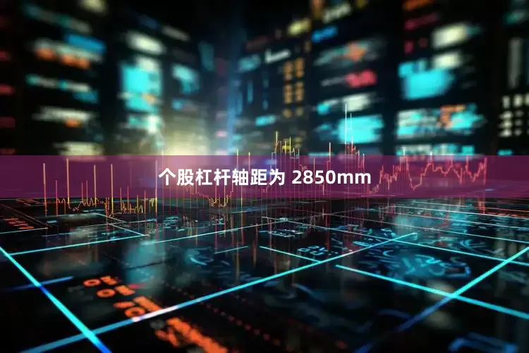 个股杠杆轴距为 2850mm