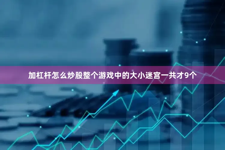 加杠杆怎么炒股整个游戏中的大小迷宫一共才9个
